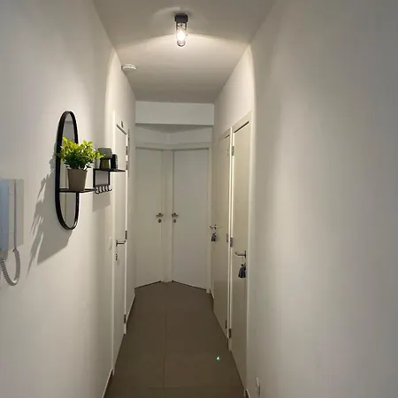 Odiezee אוסטנדה